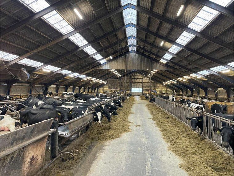 Grydhøj 3, Linde, 7600 Struer