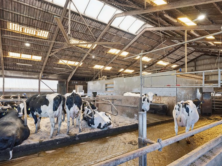 Haverslevvej 42, Ersted, 9520 Skørping