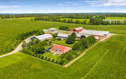 Varkensbedrijf Denemarken