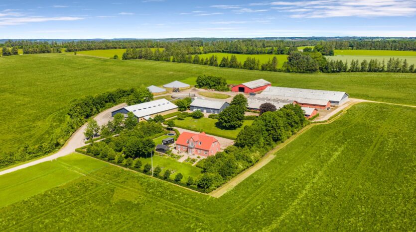Varkensbedrijf Denemarken